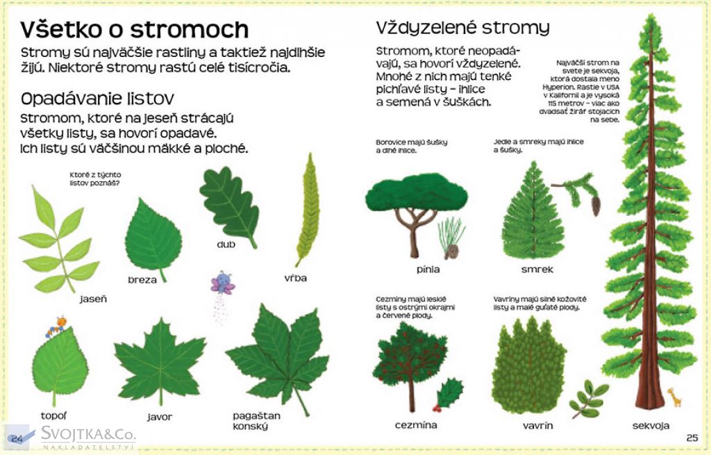 1162-4_ako-to-rastie-moja-prva-knizka