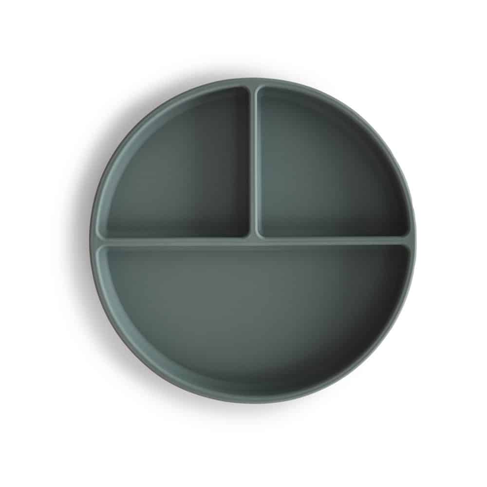 1_Silicone_plate_Dried_Theme2-p