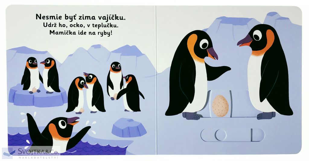 2146-4_minipedia-dobry-den-maly-tucniak
