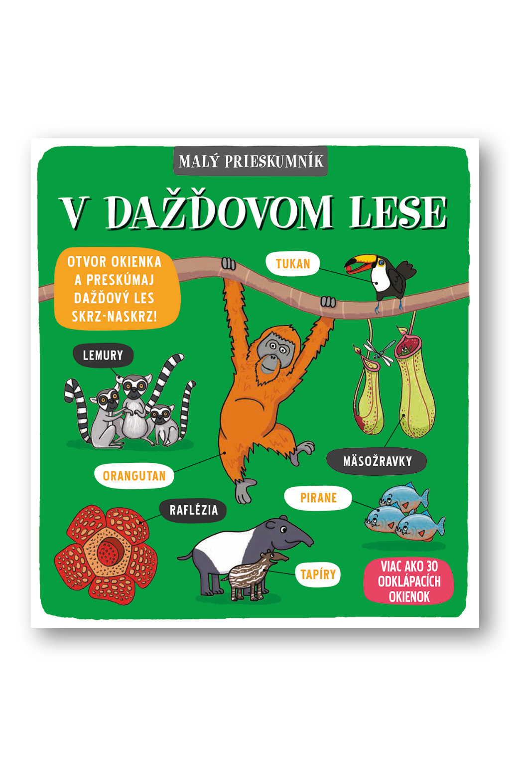 2473-3_maly-prieskumnik-v-dazdovom-lese