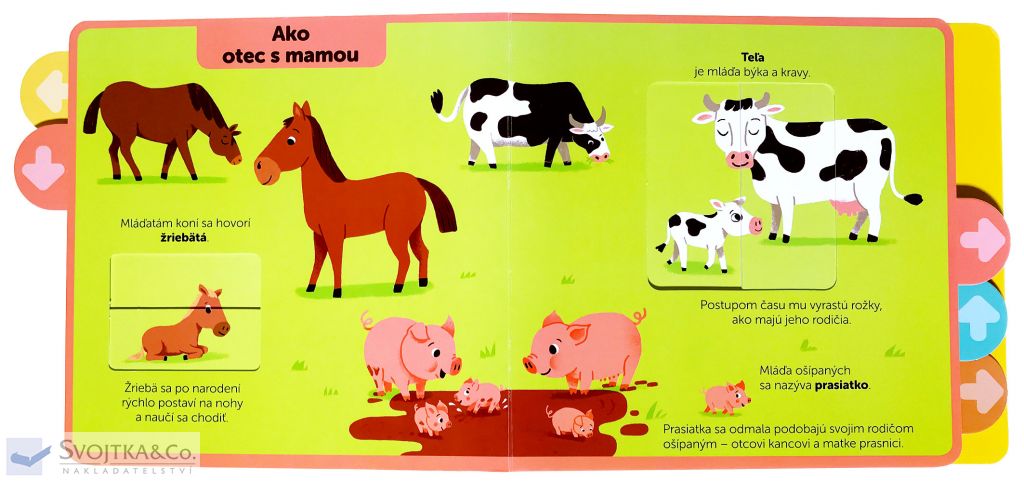 2479-5_mladata-moja-knizka-s-pohyblivymi-prvkami
