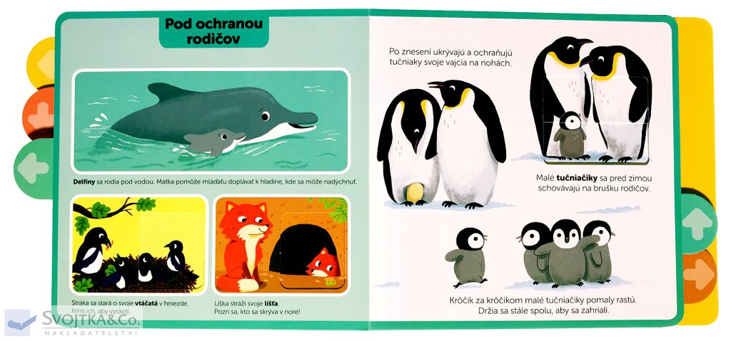 2479-6_mladata-moja-knizka-s-pohyblivymi-prvkami