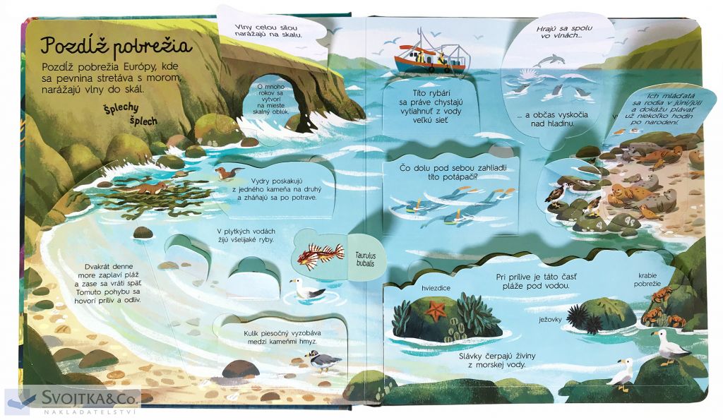 2506-4_pozri-sa-pod-obrazok-moria-a-oceany