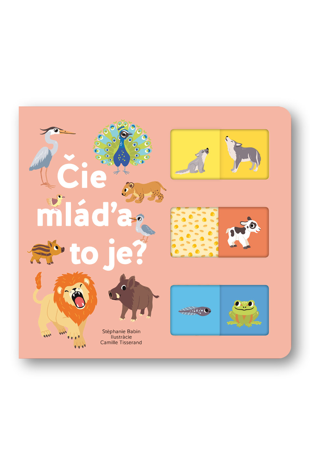 2620-3_cie-mlada-to-je