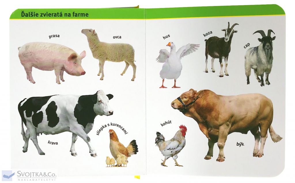 2722-4_moja-obrazkova-knizka-farma