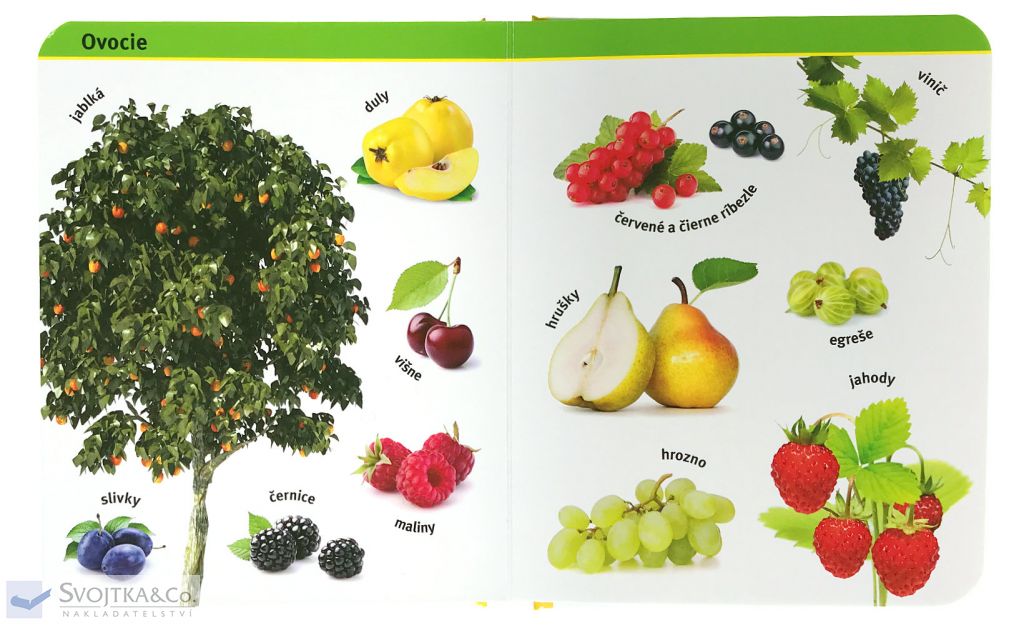 2722-6_moja-obrazkova-knizka-farma