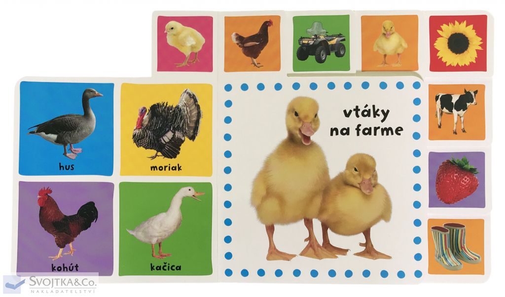 2755-4_farma