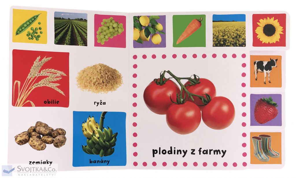 2755-6_farma
