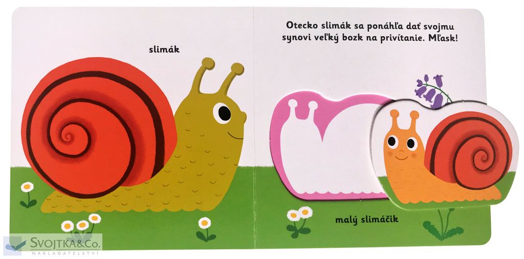 2941-6_minipedia-objavujeme-svet-mladata-zo-zahrady