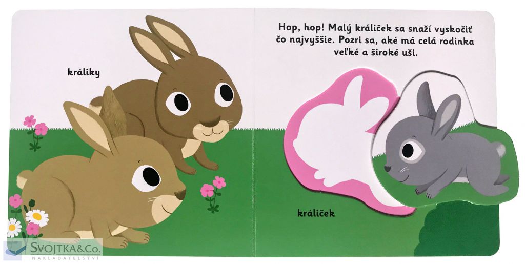 2941-7_minipedia-objavujeme-svet-mladata-zo-zahrady