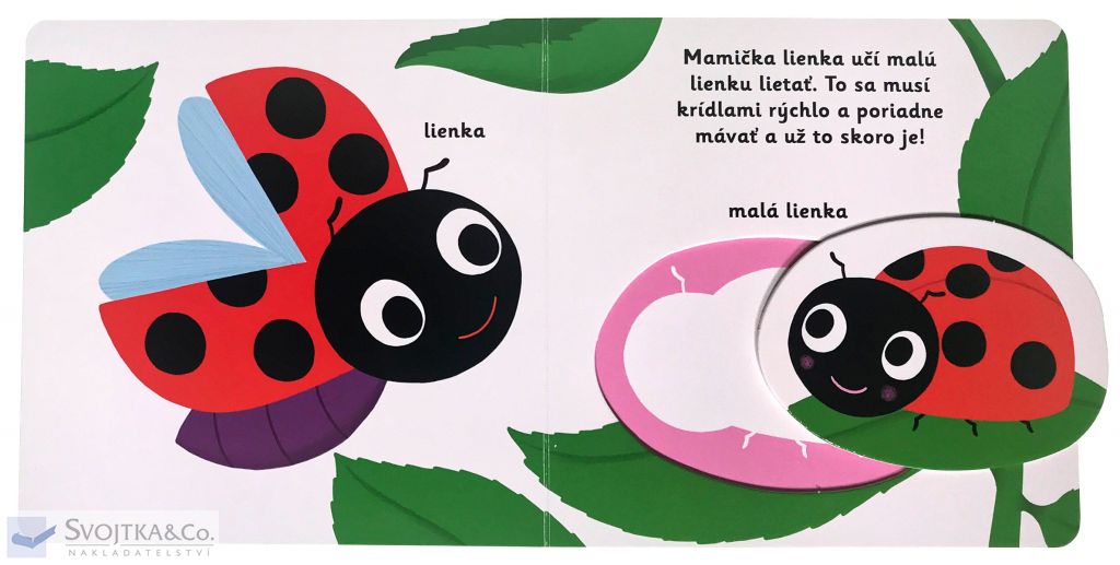 2941-8_minipedia-objavujeme-svet-mladata-zo-zahrady