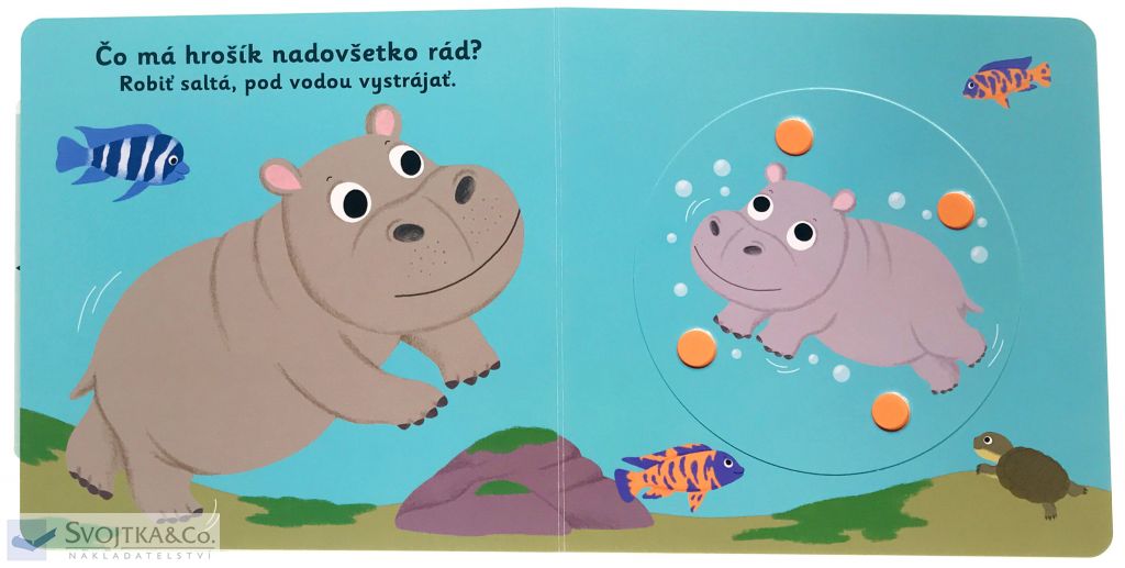 2977-6_minipedia-do-kupela-hrosik