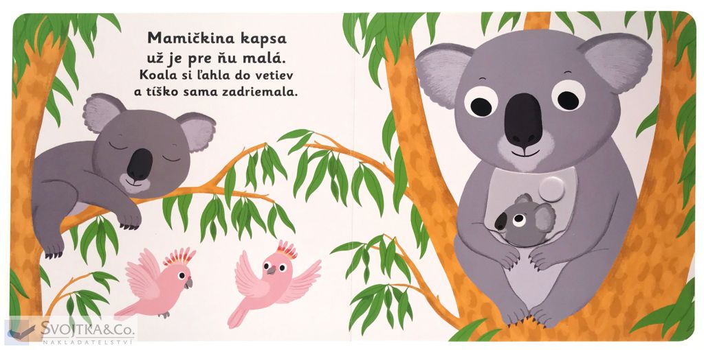 2980-4_minipedia-dobru-noc-koala