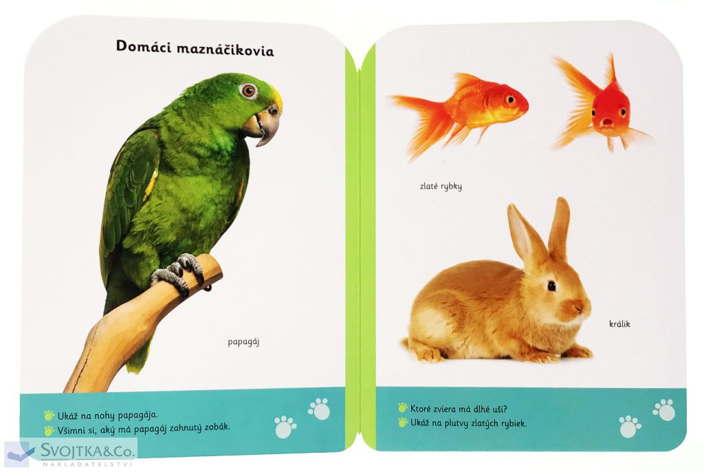 3088-6_male-kroky-zvierata-12-mesiacov