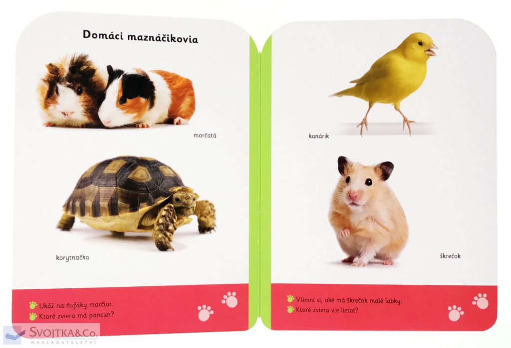 3088-7_male-kroky-zvierata-12-mesiacov