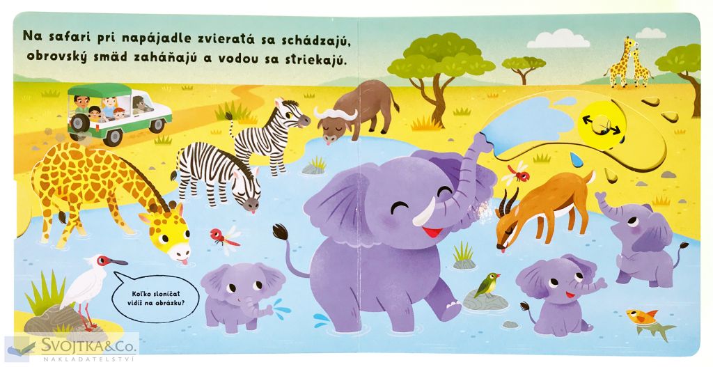3118-5_co-sa-deje-safari