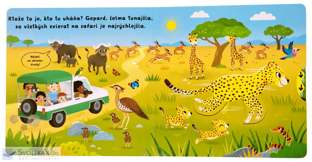 3118-6_co-sa-deje-safari