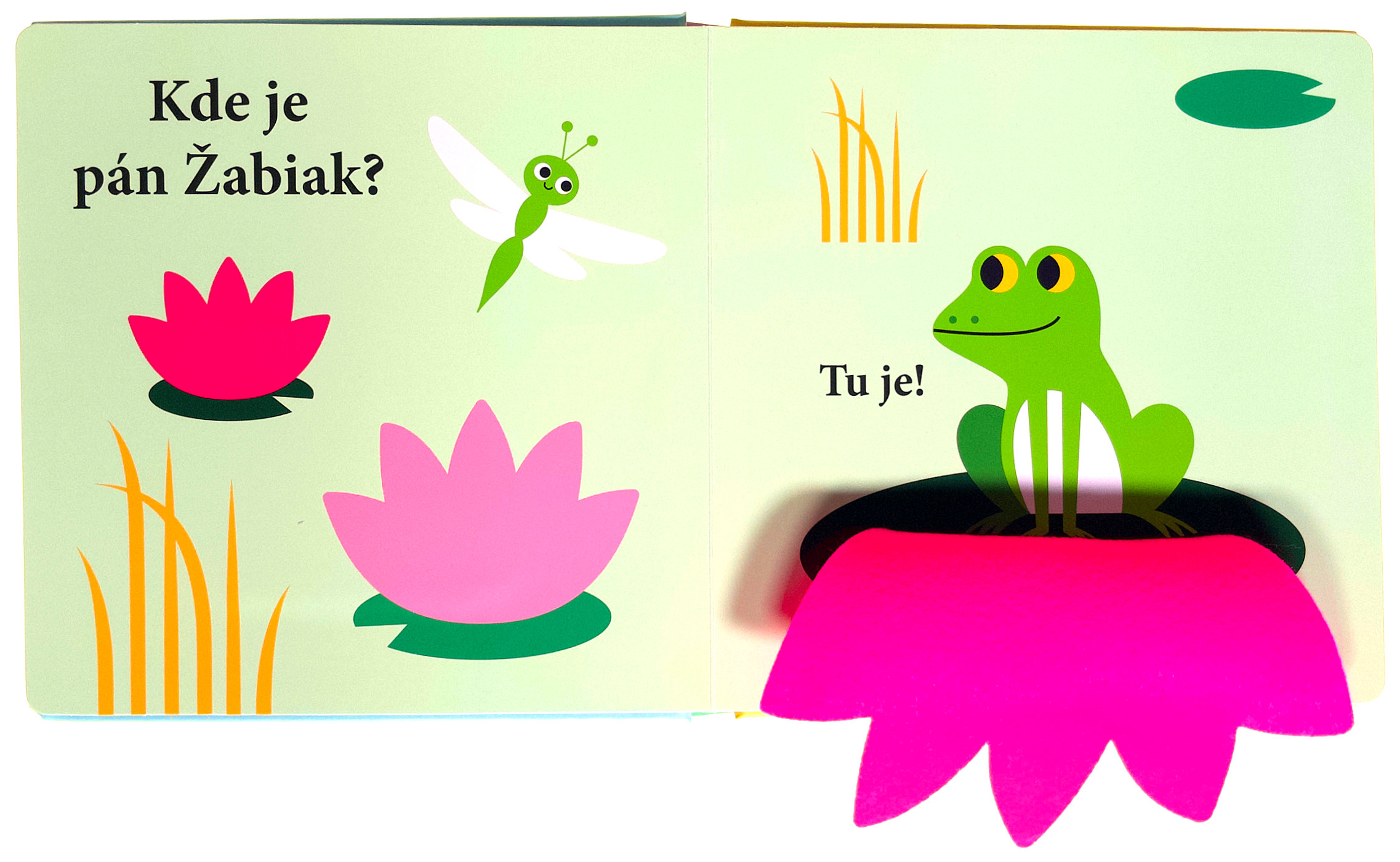 3160-1_kde-je-pan-kacer-plstene-okienka-a-zrkadielko