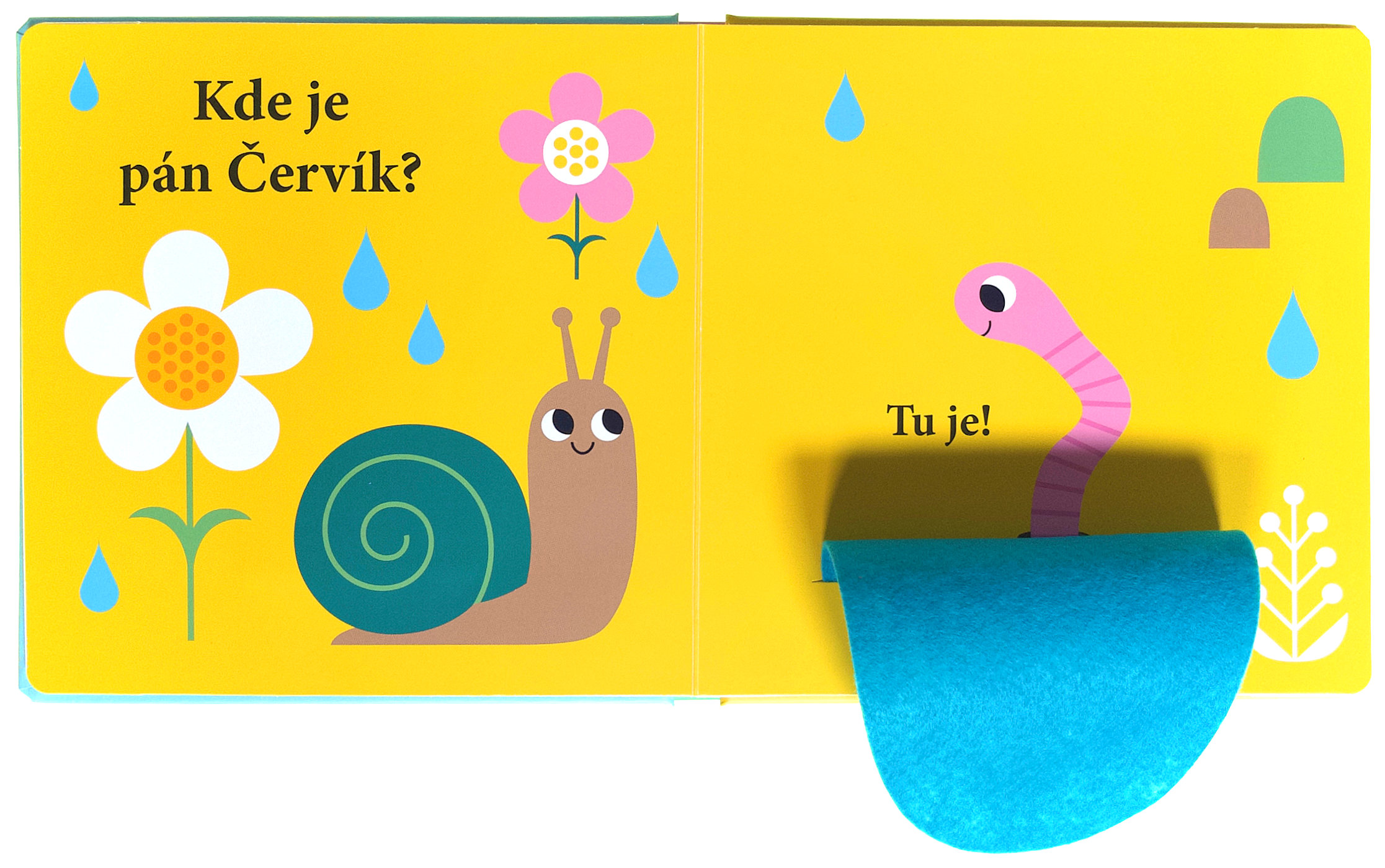 3160-2_kde-je-pan-kacer-plstene-okienka-a-zrkadielko