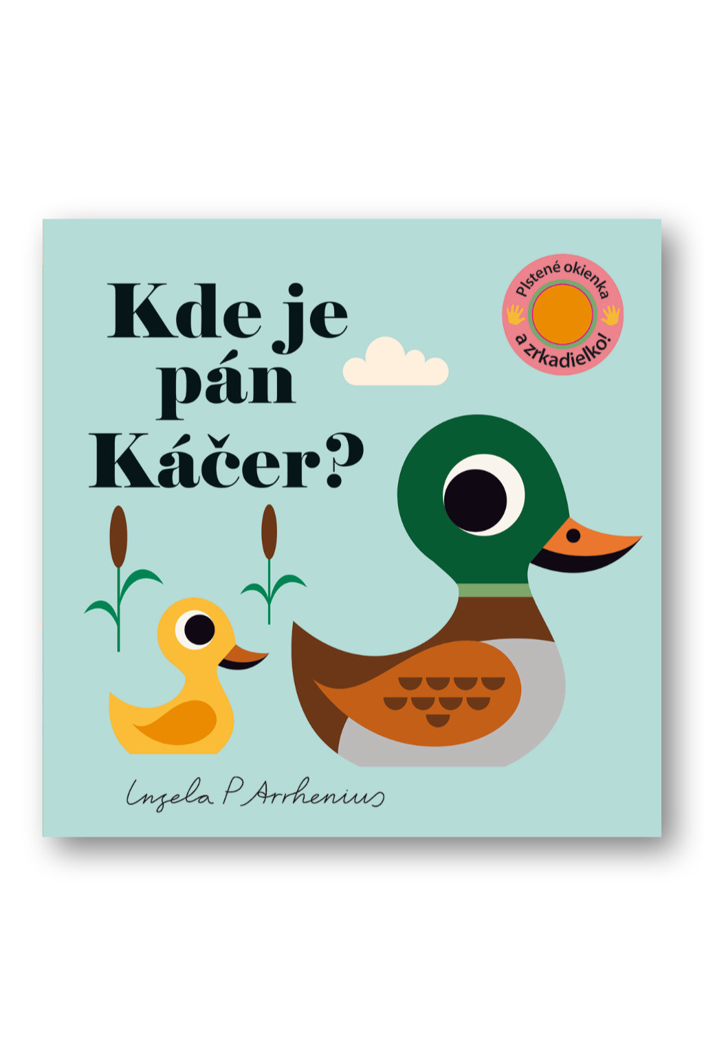 3160-4_kde-je-pan-kacer-plstene-okienka-a-zrkadielko
