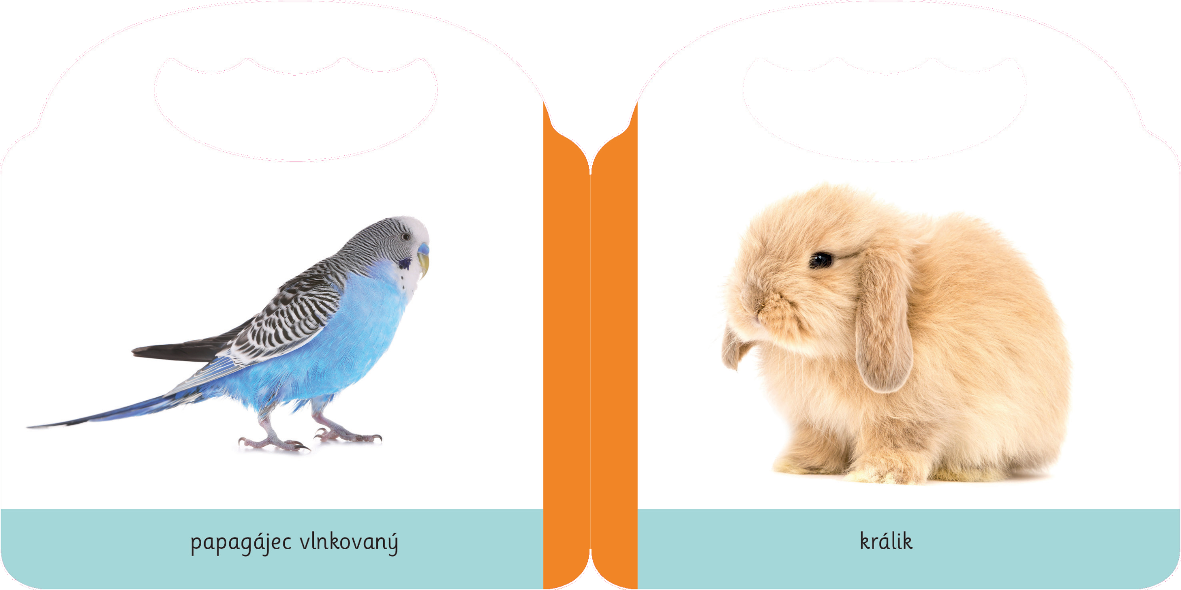 3912_uplne-male-kroky-zvierata
