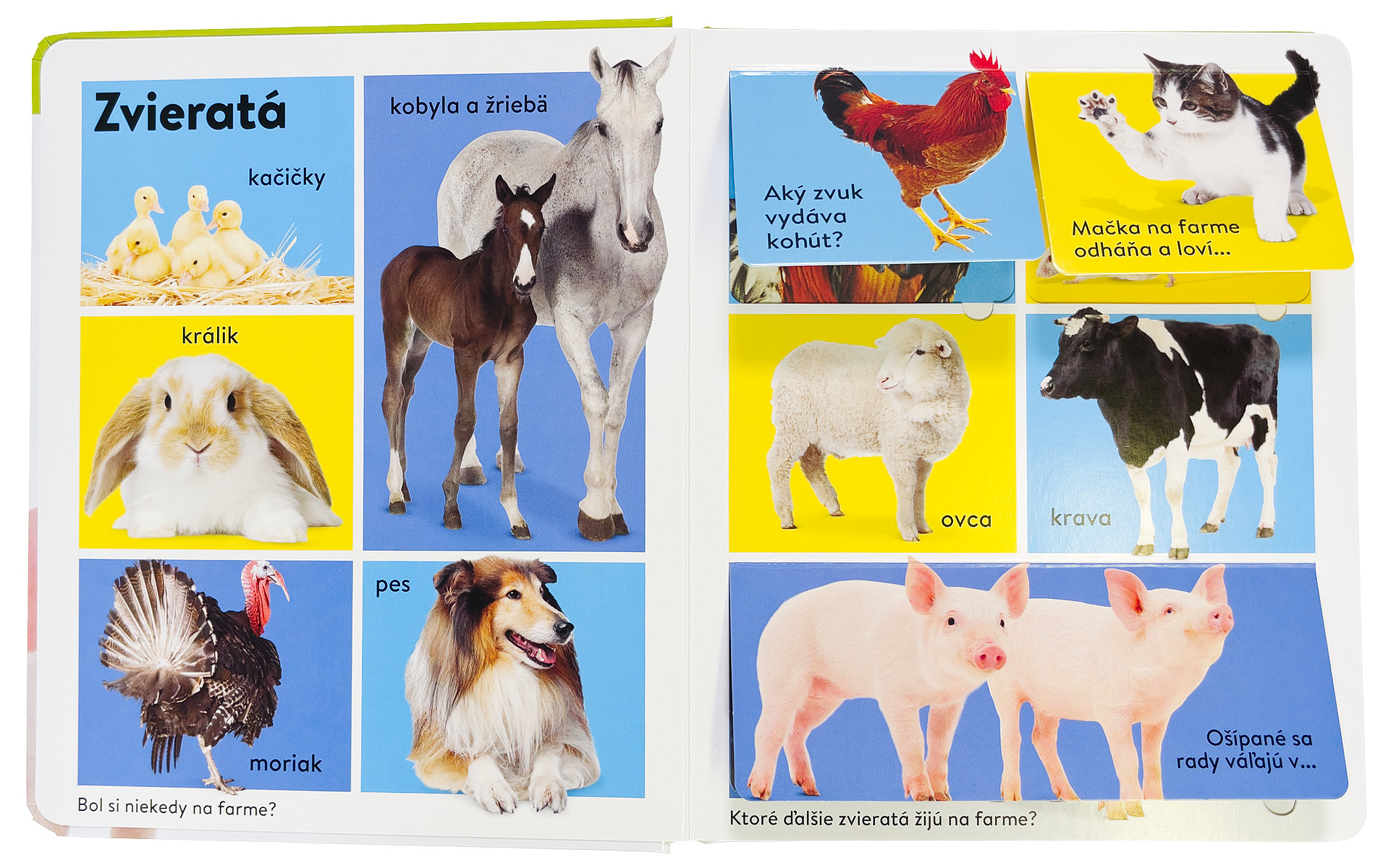 4011-1_kniha-plna-okienok-na-farme