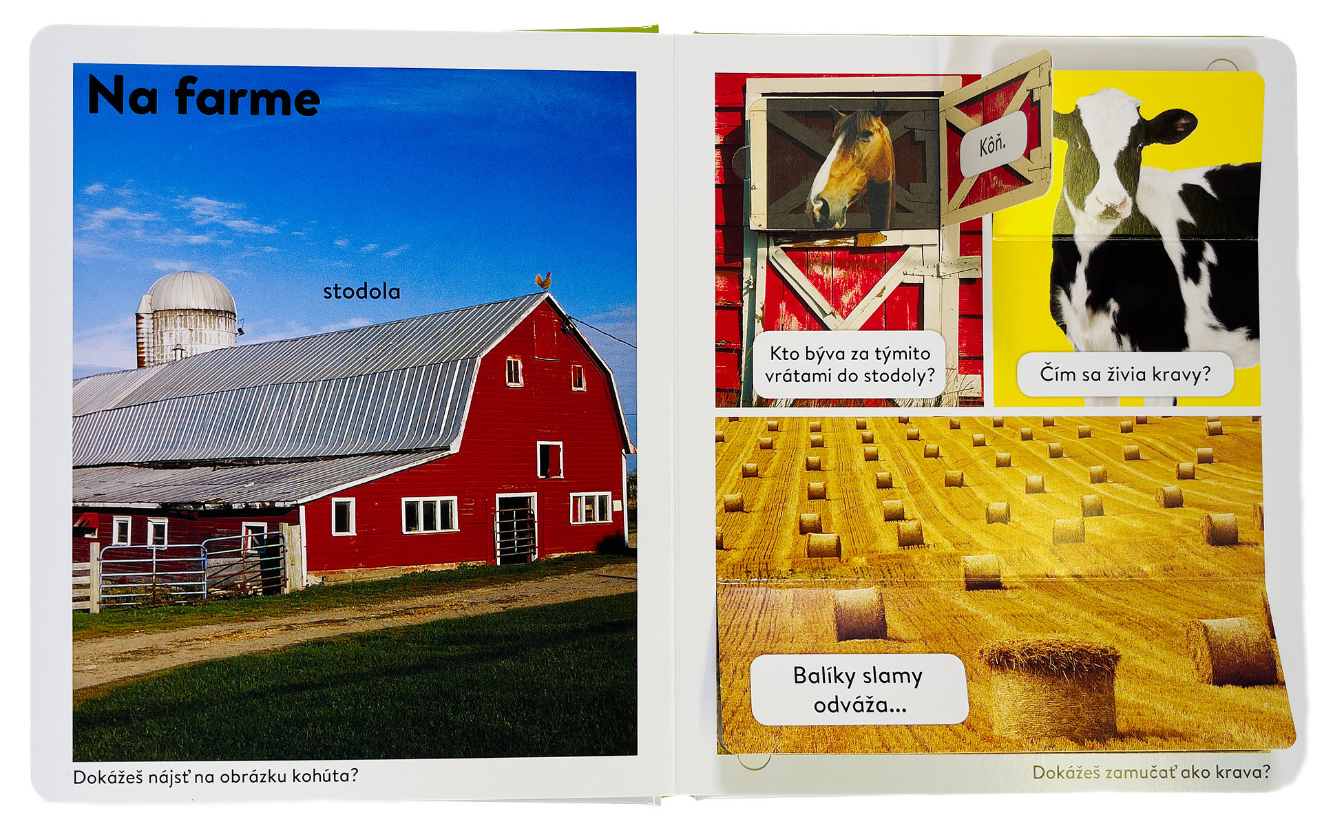 4011-2_kniha-plna-okienok-na-farme