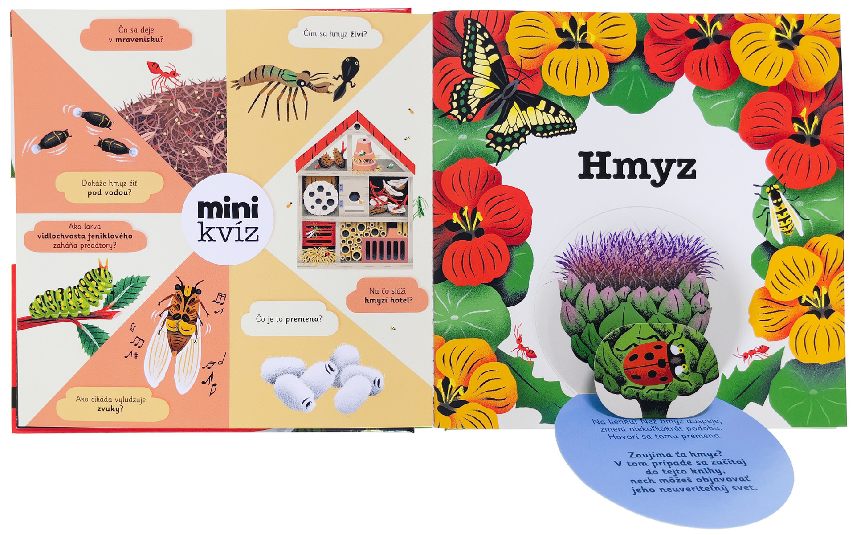 4314-1_minipedia-hmyz