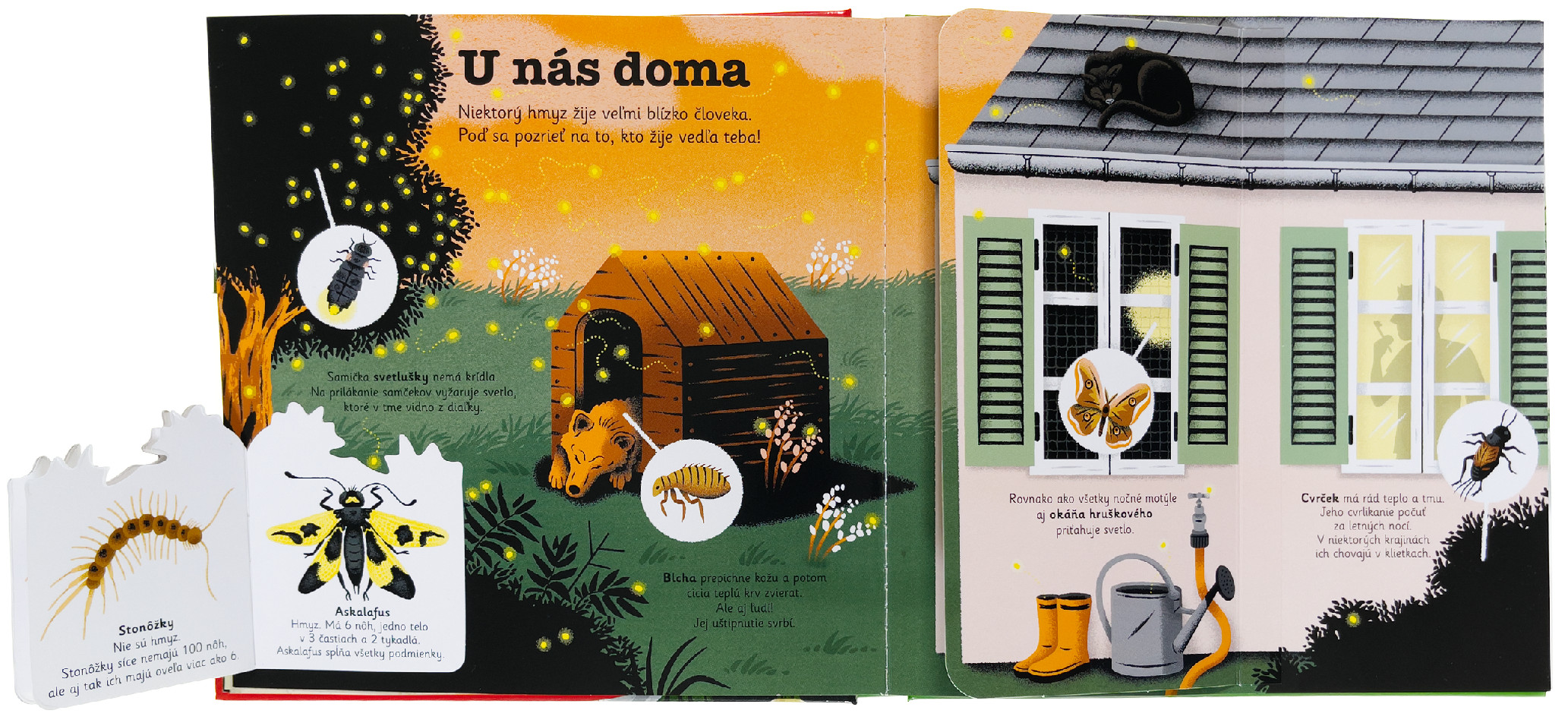 4314-3_minipedia-hmyz