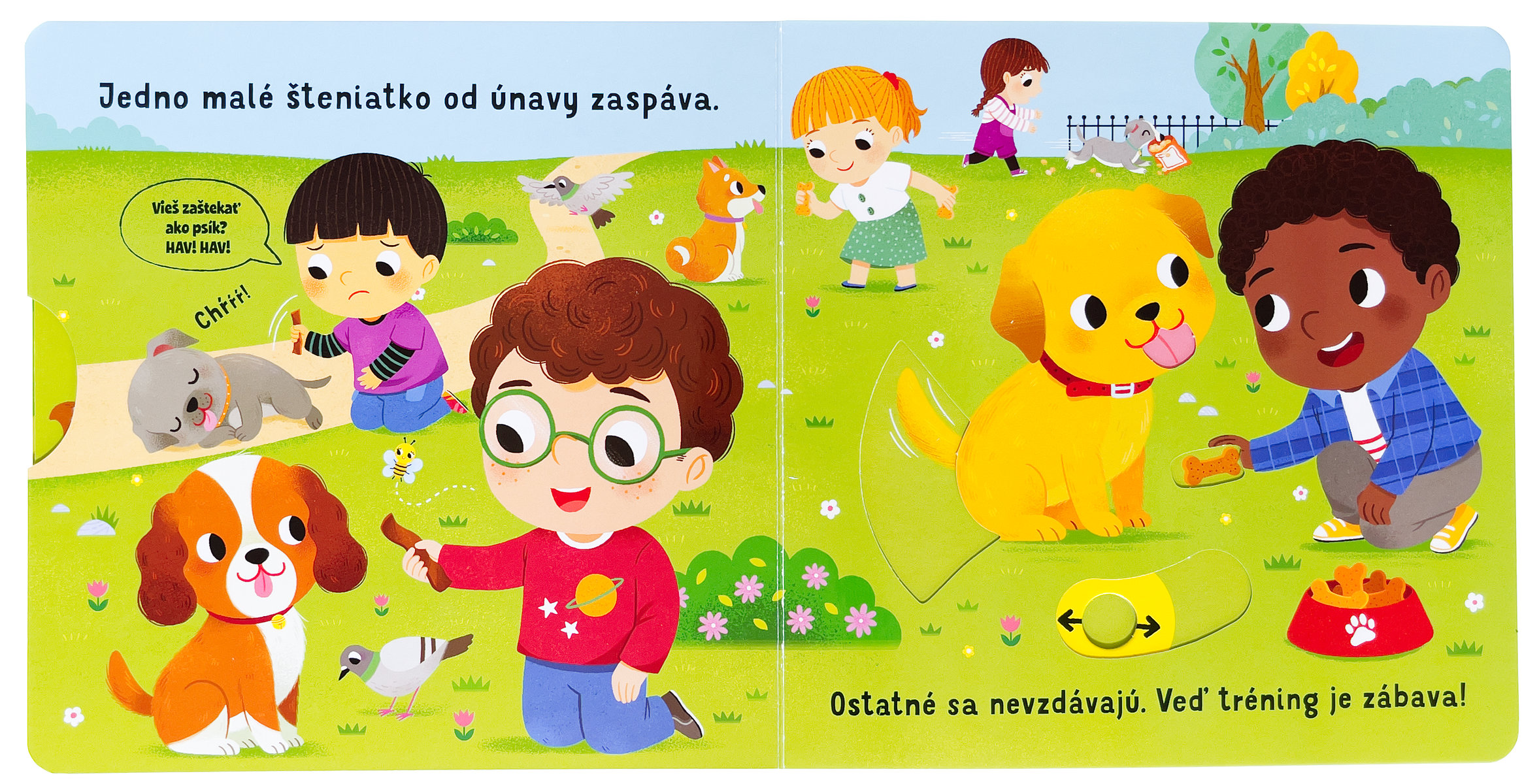 4659-3_co-sa-deje-steniatka