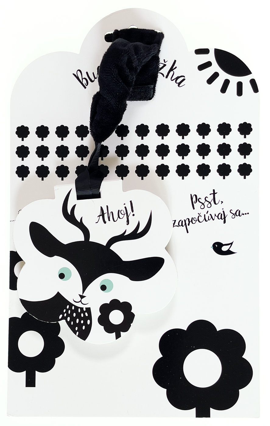 4734-1_buggyknizka-ahoj-psst-zapocuvaj-sa