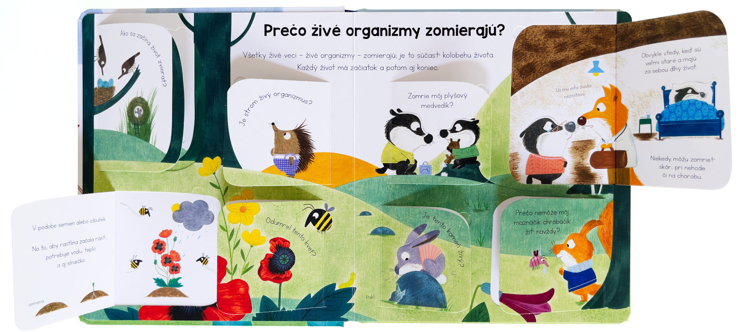 4869-1_kuk-pod-okienko-co-je-to-zomieranie-prve-otazky-a-odpovede