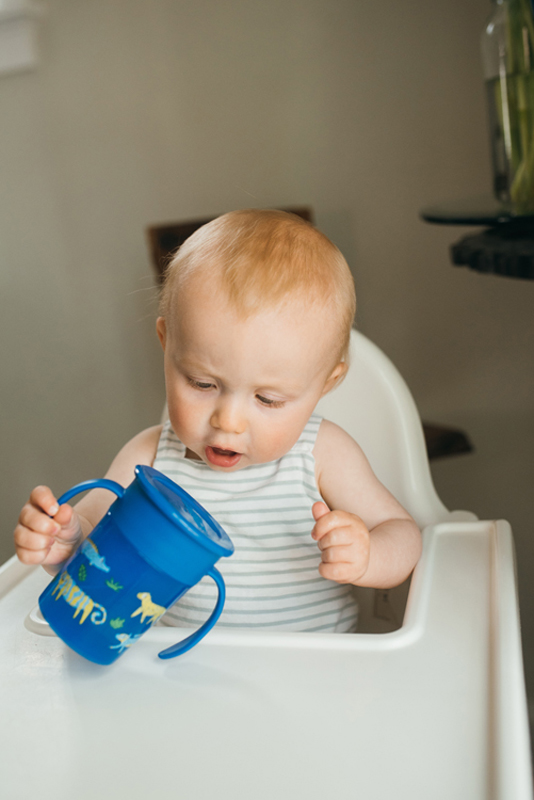 Cheers360 Handle sippy cup