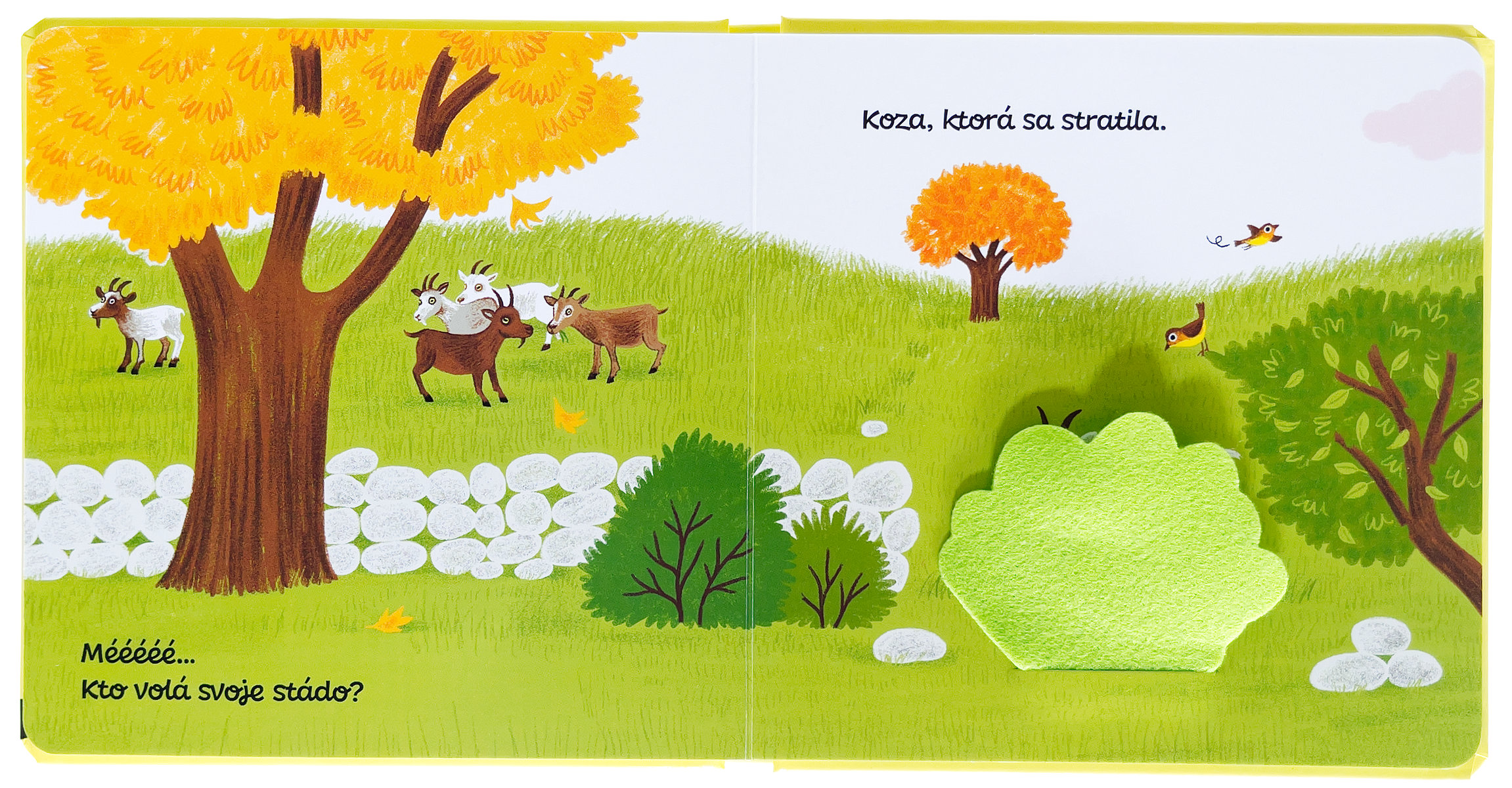 5004-4_schovavacka-na-farme