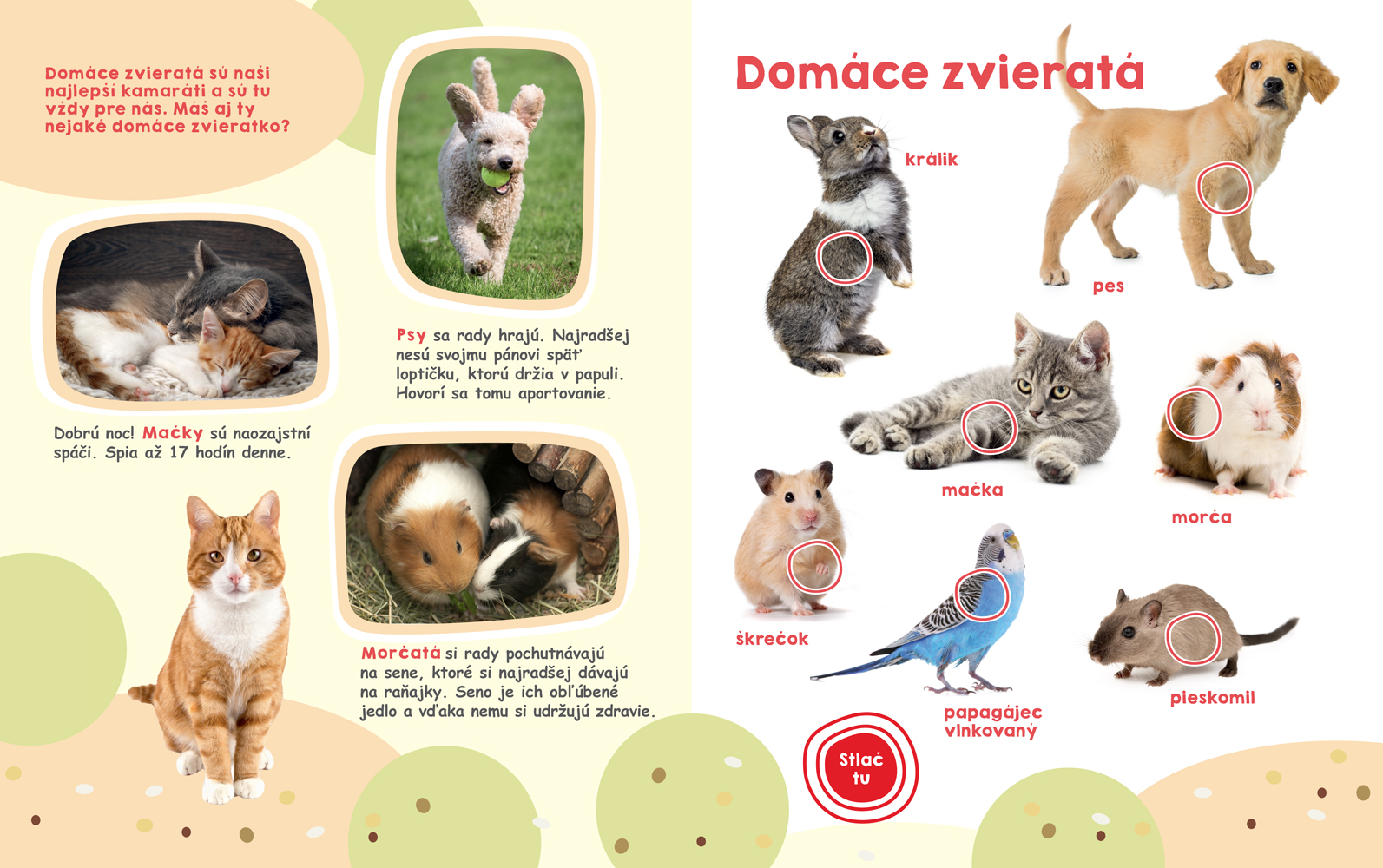 5187-2_36289-moja-velka-kniha-zvuky-zvierat2