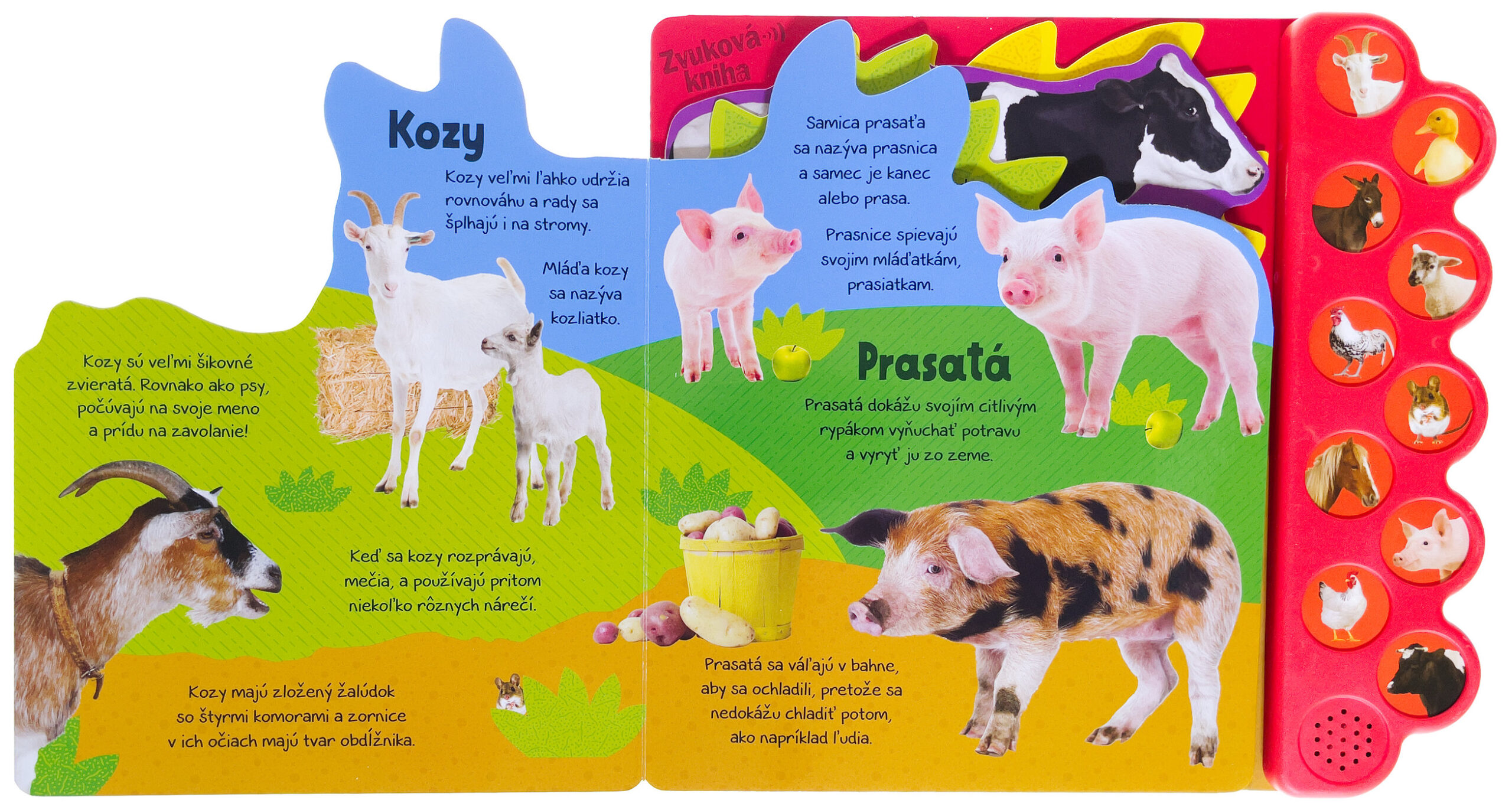 5250-1_co-pocujem-na-farme