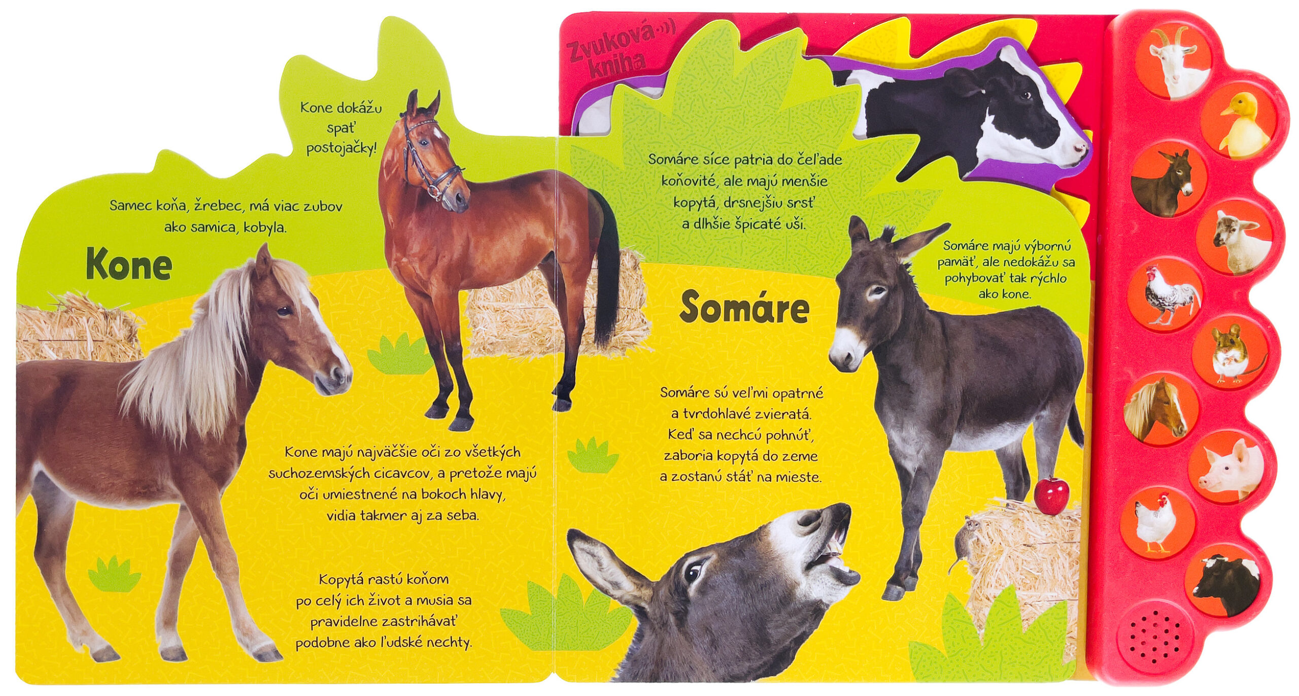5250-2_co-pocujem-na-farme