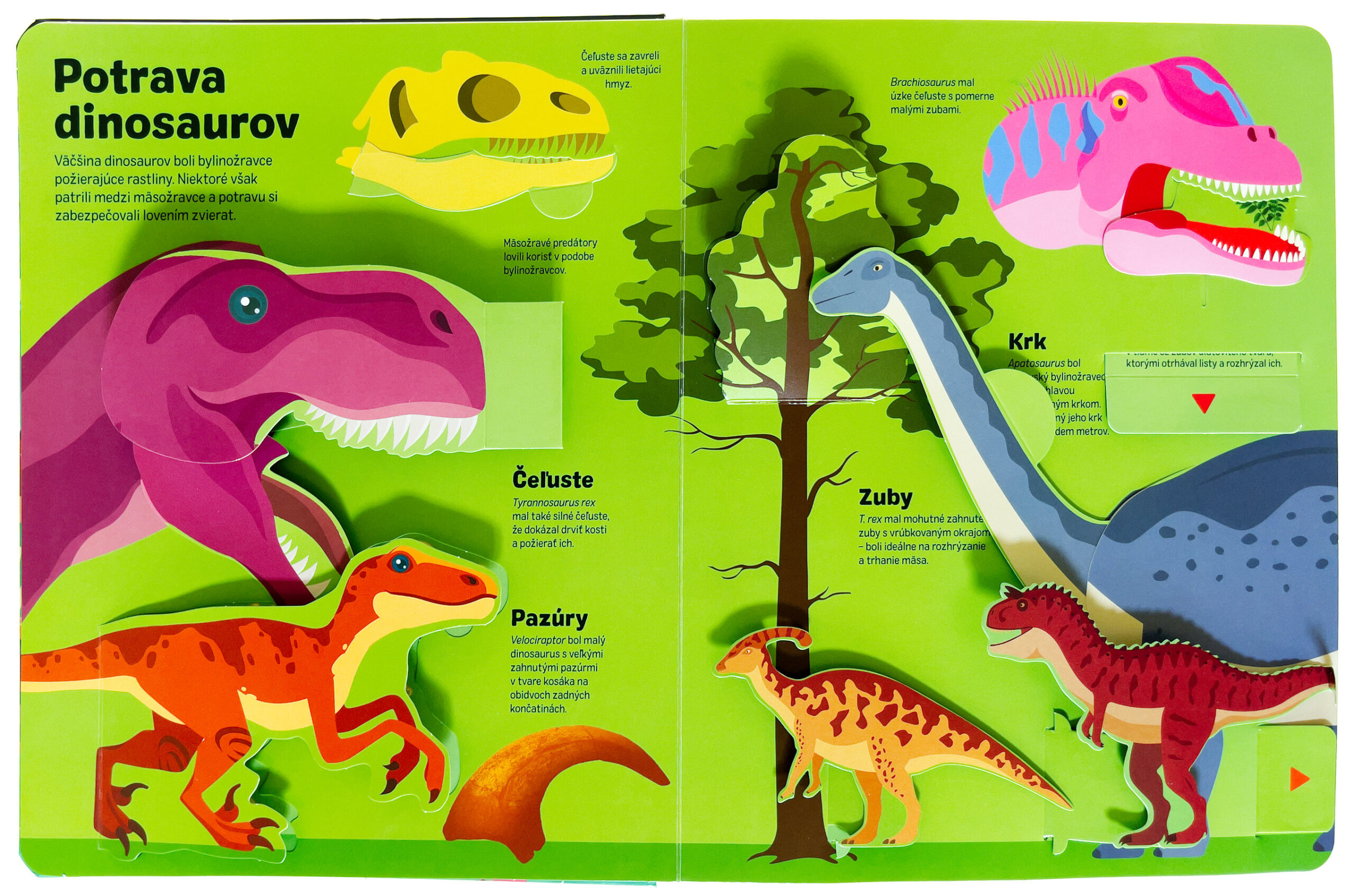 5283-2_dinosaury-v-pohybe