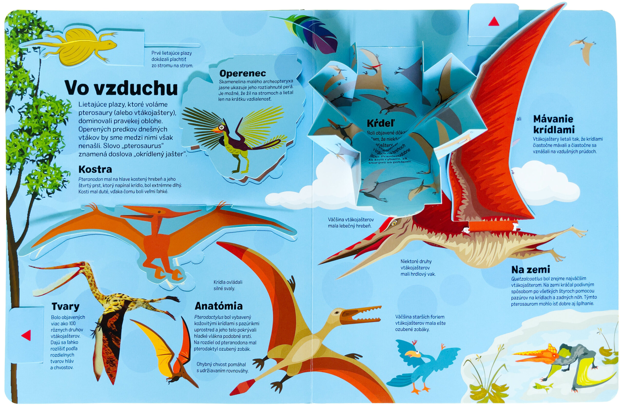5283-3_dinosaury-v-pohybe