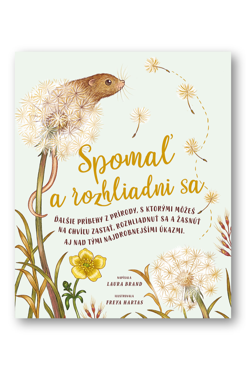 5370_36316-spomal-a-rozhliadni-sa