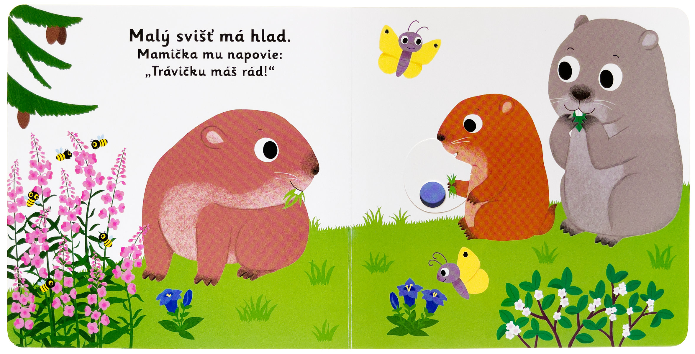 5472-2_minipedia-dobru-noc-maly-svist