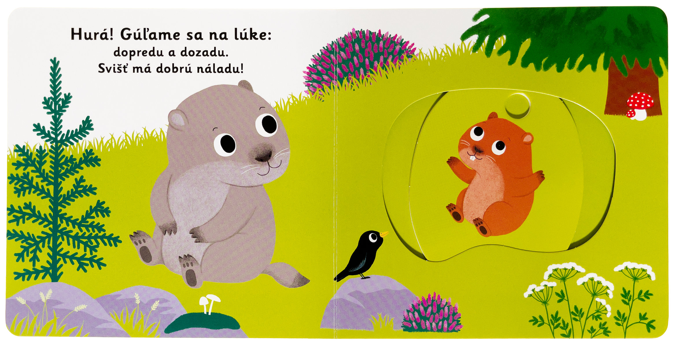 5472-3_minipedia-dobru-noc-maly-svist