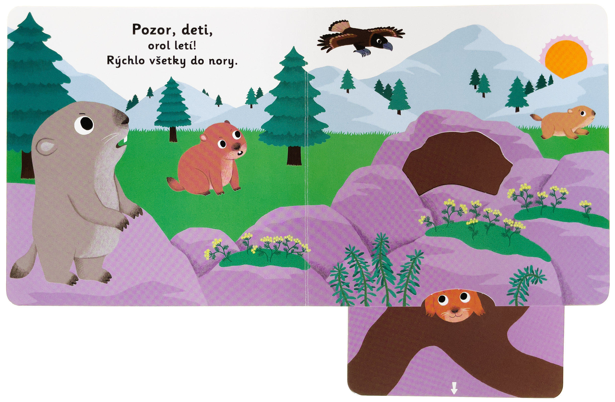 5472-4_minipedia-dobru-noc-maly-svist