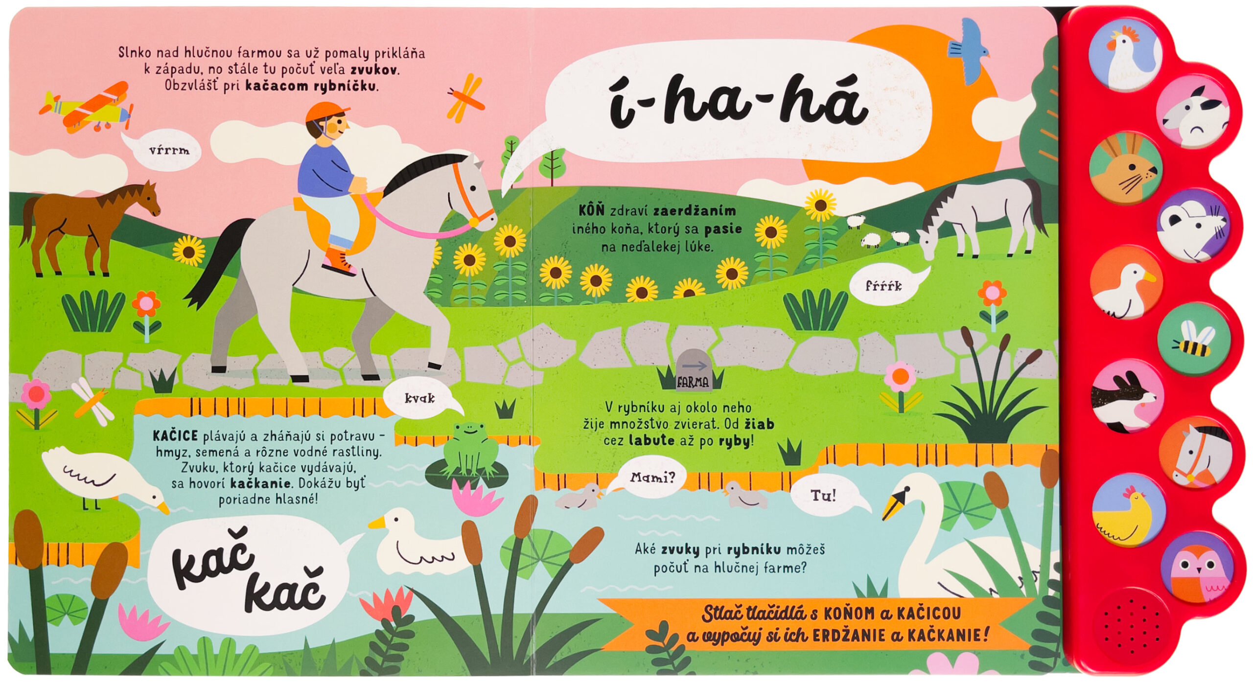 5596-4_hlucna-farma