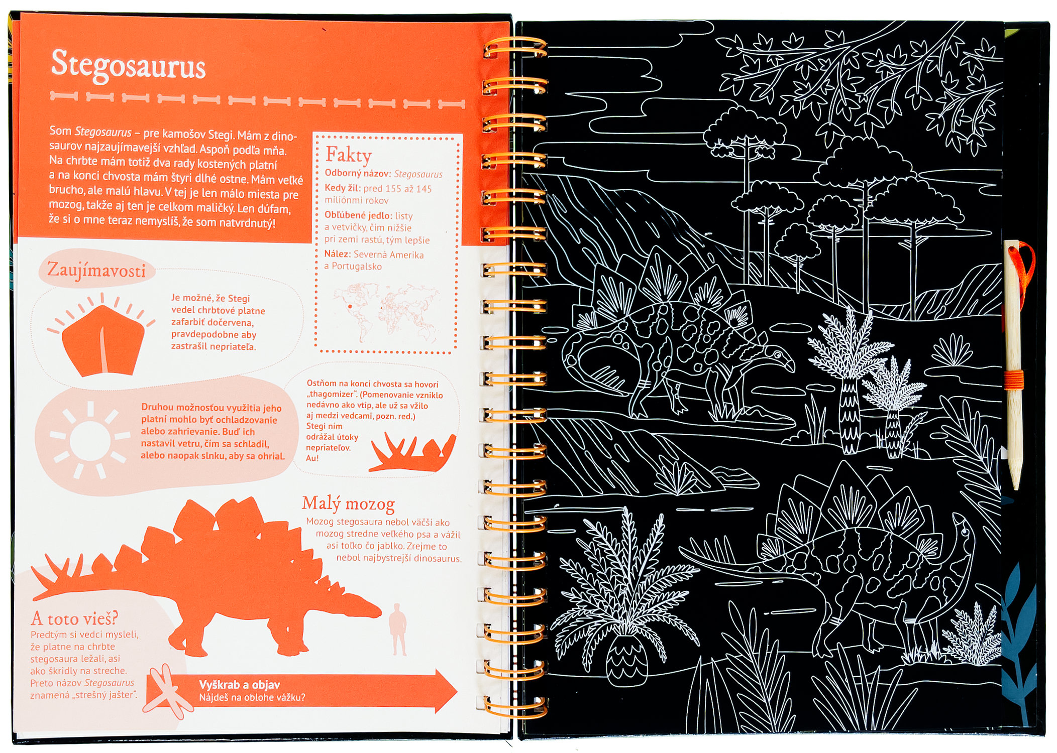 5632-4_vyskrabuj-a-poznavaj-dinosaury
