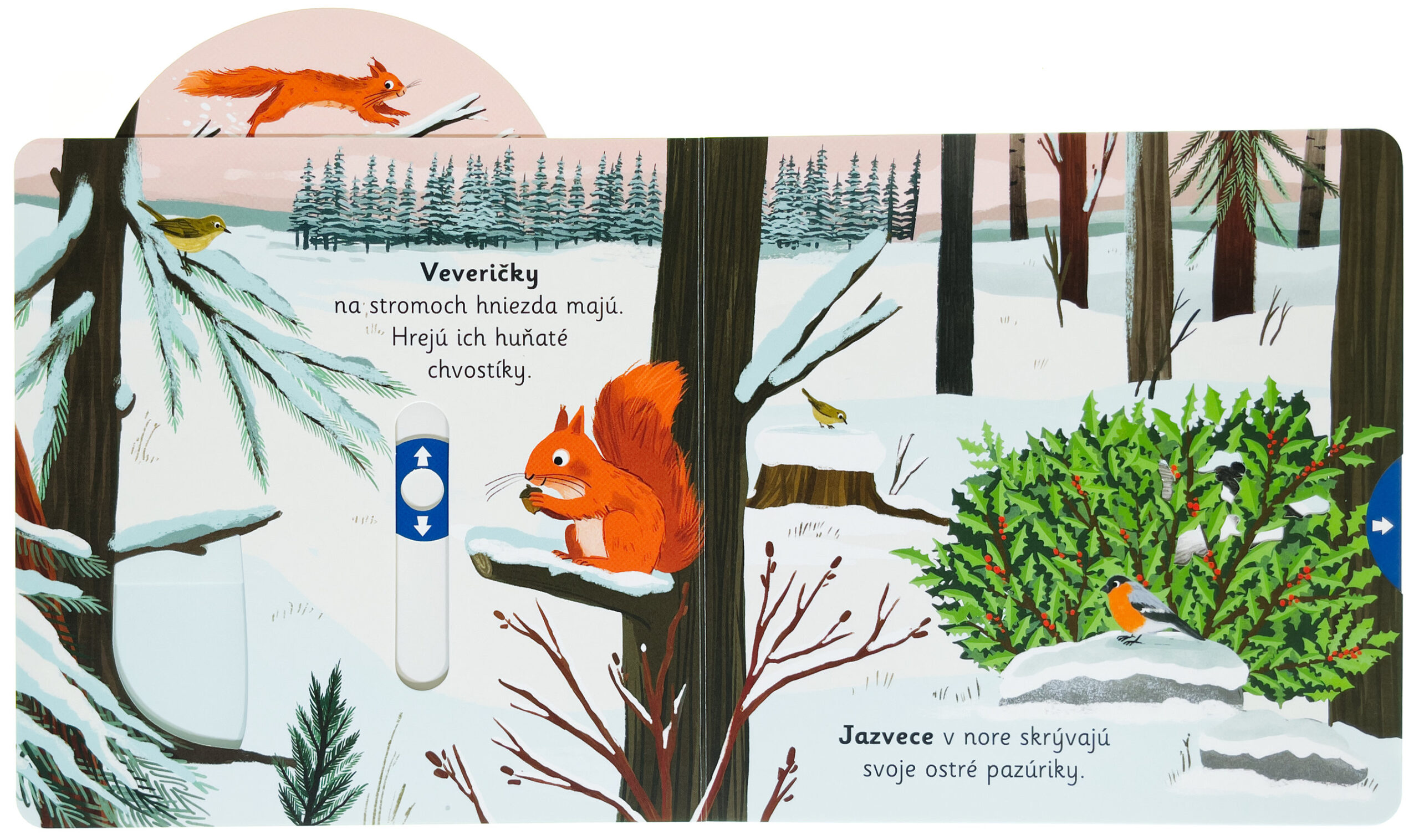 5847-4_36489-velke-objavy-pre-malych-objavitelov-na-snehu-4