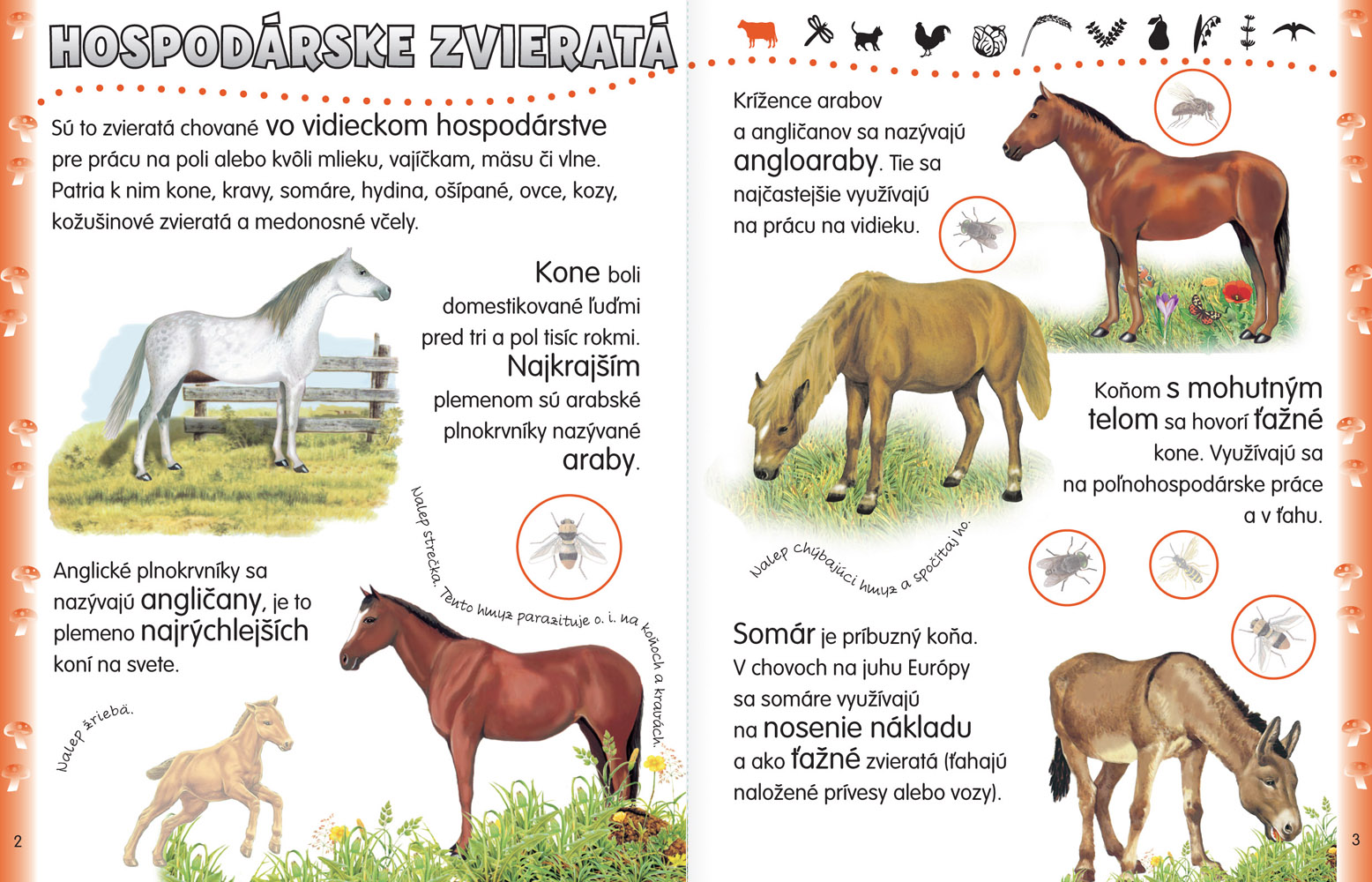 592_33414-videicke-hospodarstvo01