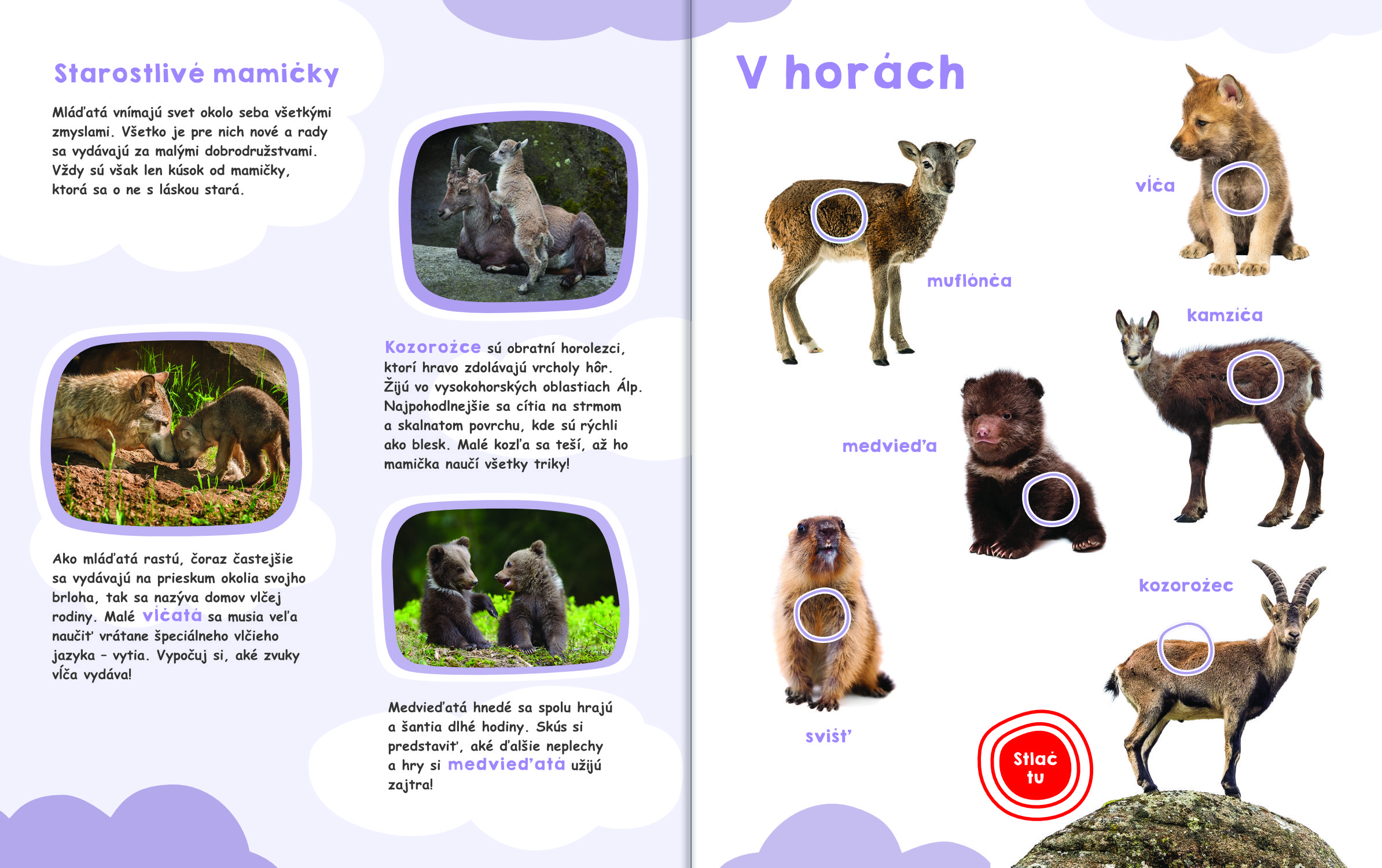 6476-2_36774-moja-velka-kniha-zvuky-mladat-4