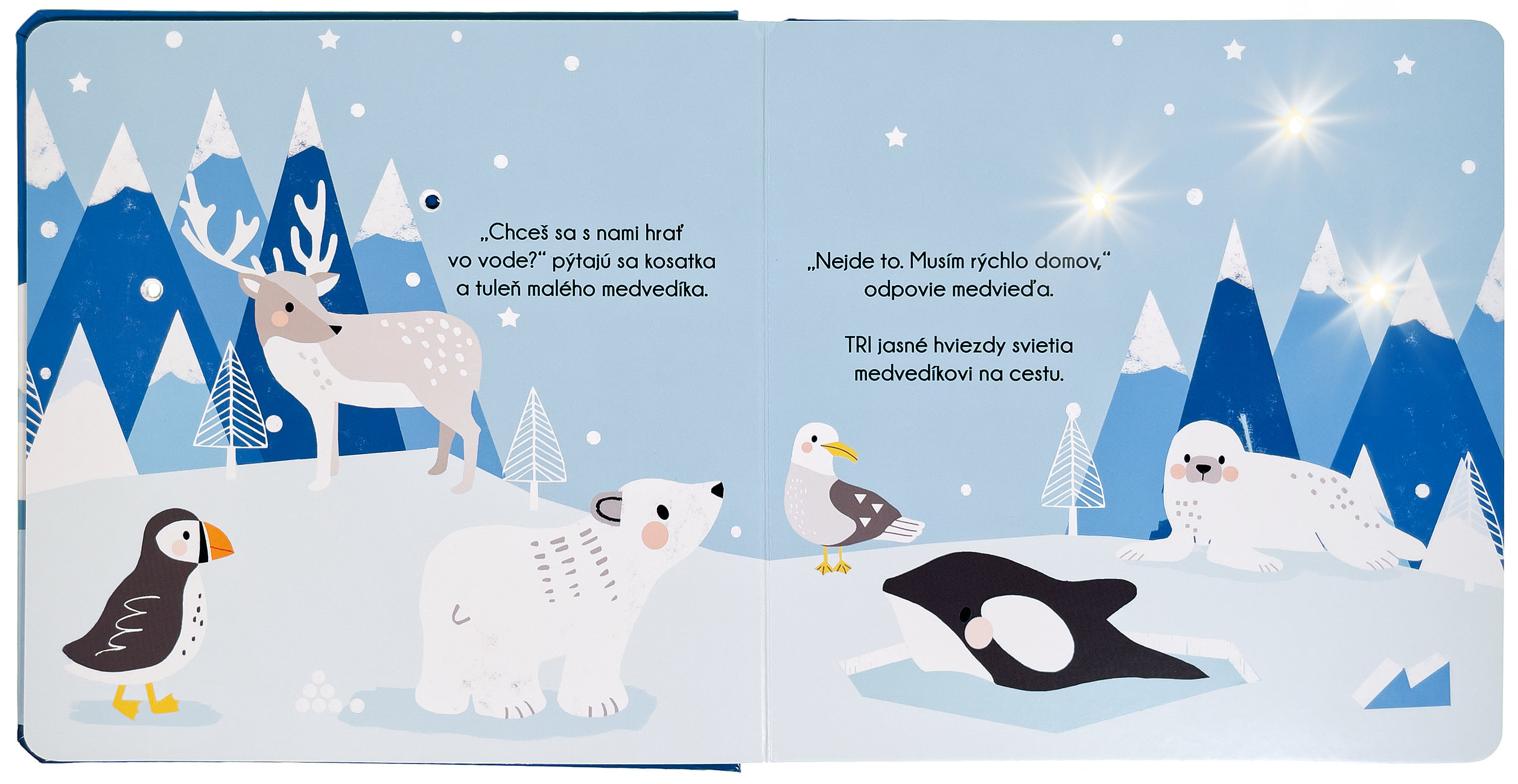 6503-2_36716-posviet-si-polarne-dobrodruzstvo-maleho-medvedika-2