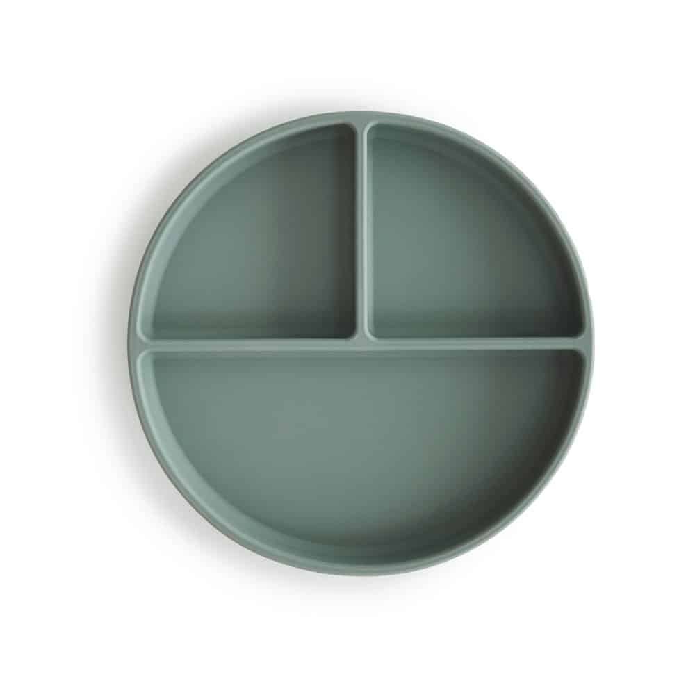 6_Silicone_plate_Cambridge_blue-p